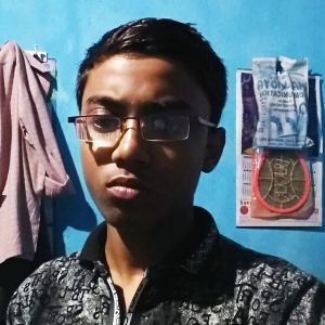 Ravi Chaudhary-Freelancer in Nalanda,India