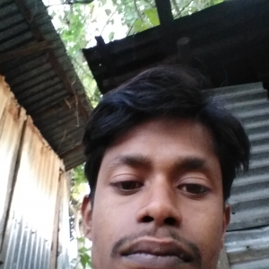 Jhulan Dey-Freelancer in Rani,India