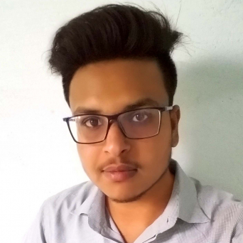 Vasudev Sahu-Freelancer in ,India