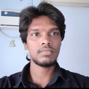 Arun Lakshmanan-Freelancer in ,India