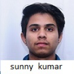 Sunny Kumar-Freelancer in Chandigarh,India
