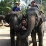 M.a.b. Siddique-Freelancer in Dhaka,Bangladesh