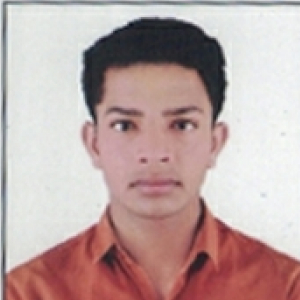 Rahul Kumar Jangid-Freelancer in ,India