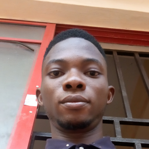 Akomu Udukhs-Freelancer in Clifton,Nigeria