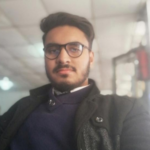 Tamhasib Ali-Freelancer in Islamabad,Pakistan