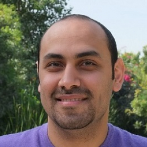 Ahmed Gamal-Freelancer in Dubai,UAE