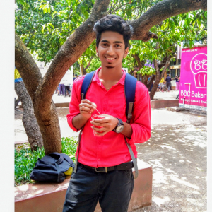 Gajanan Petnekar-Freelancer in Davangere,India