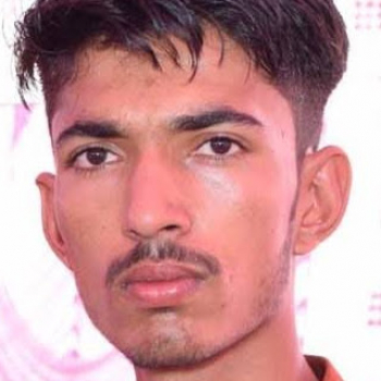 Sajjan Singh-Freelancer in ,India