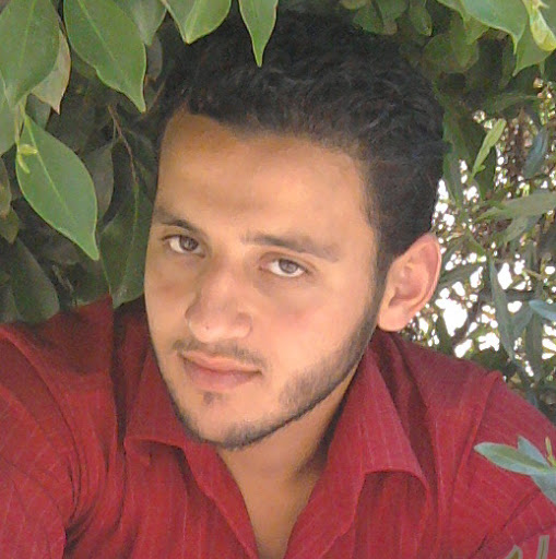 A.hafez El-fadaly-Freelancer in Misr,Egypt