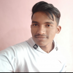 Pandit Mokale-Freelancer in ,India