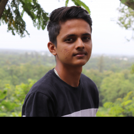 Raj Mistry-Freelancer in Amalsad,India