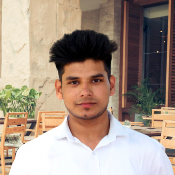 Mohd Tarik-Freelancer in Barhapur Bijnor,India