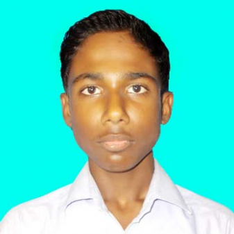 Nasir Sarkar-Freelancer in BHAGWANGOLA,India