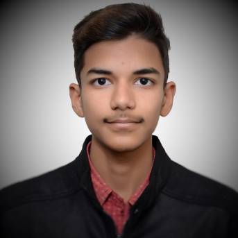 Aryan Hussain-Freelancer in Chandigarh,India