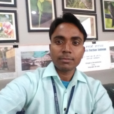 Manoj Kumar-Freelancer in Gwalior,India