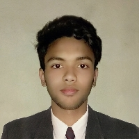 Md Taufik Nawaz Biswas-Freelancer in ,India