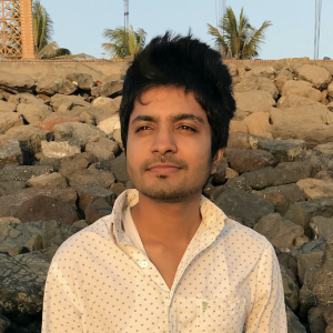 Vinay Patel-Freelancer in ,India