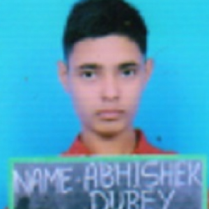 Abhishek Dubey-Freelancer in ,India