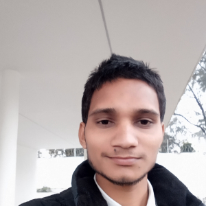 Narayan Singh-Freelancer in New Delhi,India