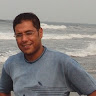 Mohamed Elsaadany-Freelancer in Sheblengah,Egypt