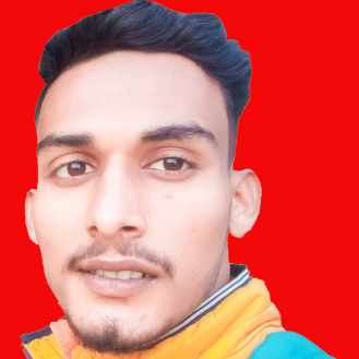 Aryaveer Singh-Freelancer in Lucknow,India