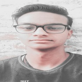 Sahil Ahmed-Freelancer in Firozabad,India