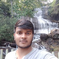 Narayan Kumar-Freelancer in Kochi,India