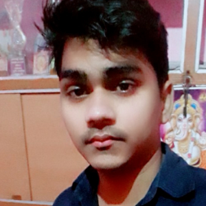 Prince Rathour-Freelancer in ,India
