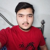 Shoaib Janjua-Freelancer in Karachi,Pakistan