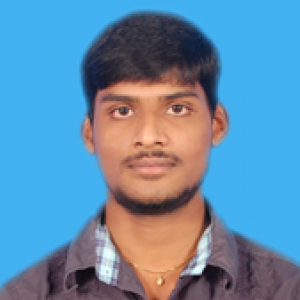 Rajesh Kumar-Freelancer in Tanjore,India