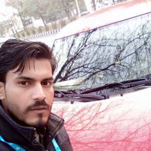 Sanjay Arya-Freelancer in Almora,India