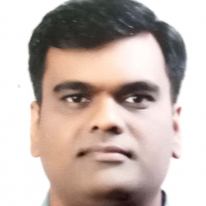 Yogesh Wankhede-Freelancer in Nieuwegein,Netherlands