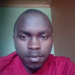 Allan -Freelancer in Kampala,Uganda