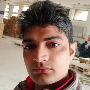 Rahul Rawat-Freelancer in ,India