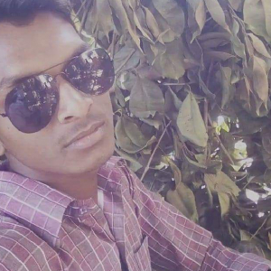 Bheem Singh Dhurve-Freelancer in Gourella,India