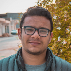 Saifeddin Matoui-Freelancer in Nabeul,Tunisia