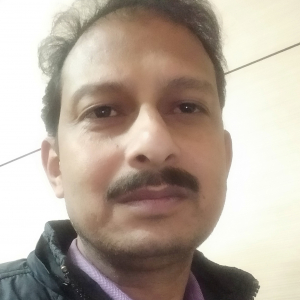 Sudip Pramalik-Freelancer in ,India