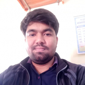 Praveen Madnur-Freelancer in DHARWAD,India