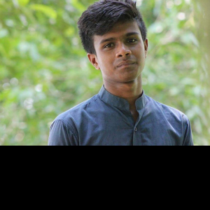 Amir Hamza-Freelancer in Narsingdi,Bangladesh