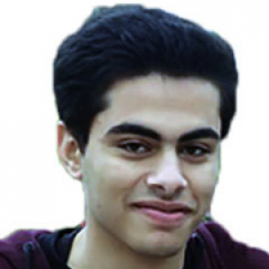 Mohamed Hamdy Ahmed-Freelancer in Mansoura Qism 2,Egypt