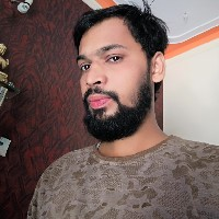 Abhijeet Anil Meshram-Freelancer in Nagpur,India