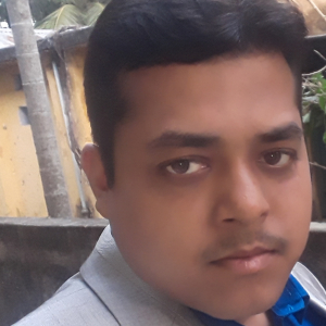 Swarup Roy-Freelancer in ,India