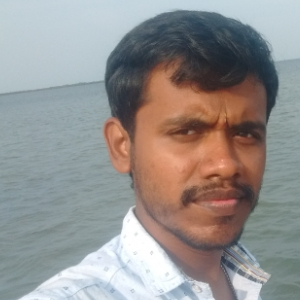 Gnanaparthiban Raja-Freelancer in ,India