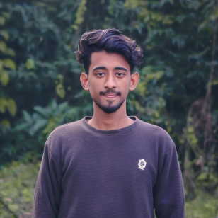Hasibul Hasan Santo-Freelancer in Dhaka,Bangladesh