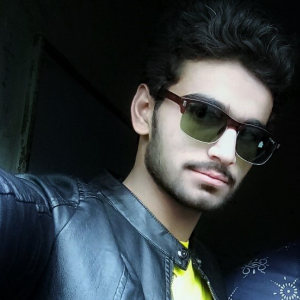 Hamza Malik-Freelancer in Karachi,Pakistan