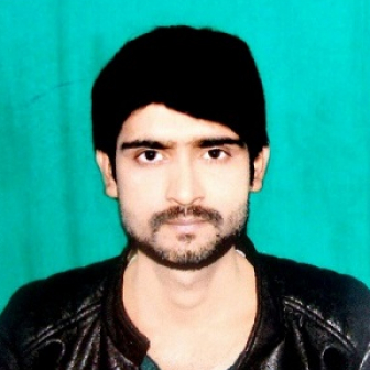 Sumit Kumar-Freelancer in Bhagalpur,India