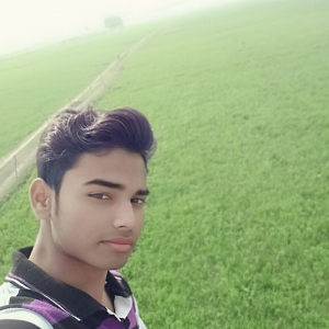 Shubham Tiwari-Freelancer in ,India