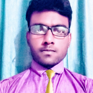 Pradeepta Kumar Pattnaik-Freelancer in ,India