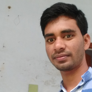 Sahabuddin Ansary-Freelancer in Purulia ,India