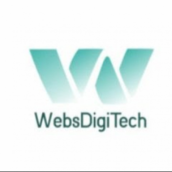 Webs Digi Tech-Freelancer in Jaipur,India